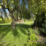 01a81ec4-229f-4ee5-9ff6-57eef9c33636 (1)