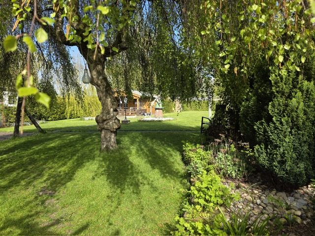 01a81ec4-229f-4ee5-9ff6-57eef9c33636 (1)