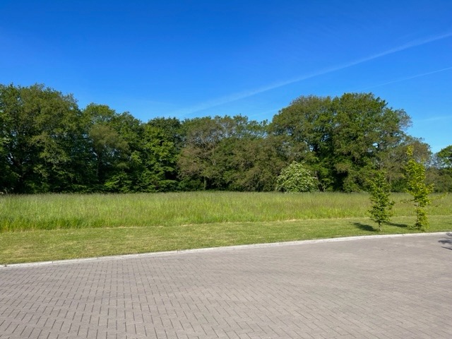 Am Urwald 25 (34)