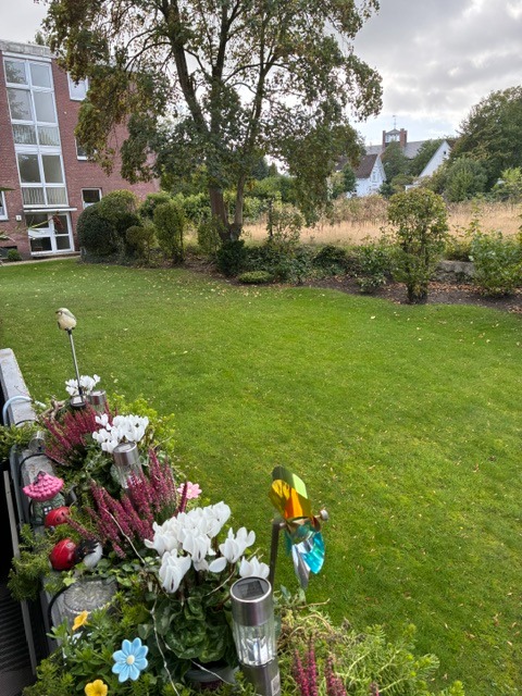 image8